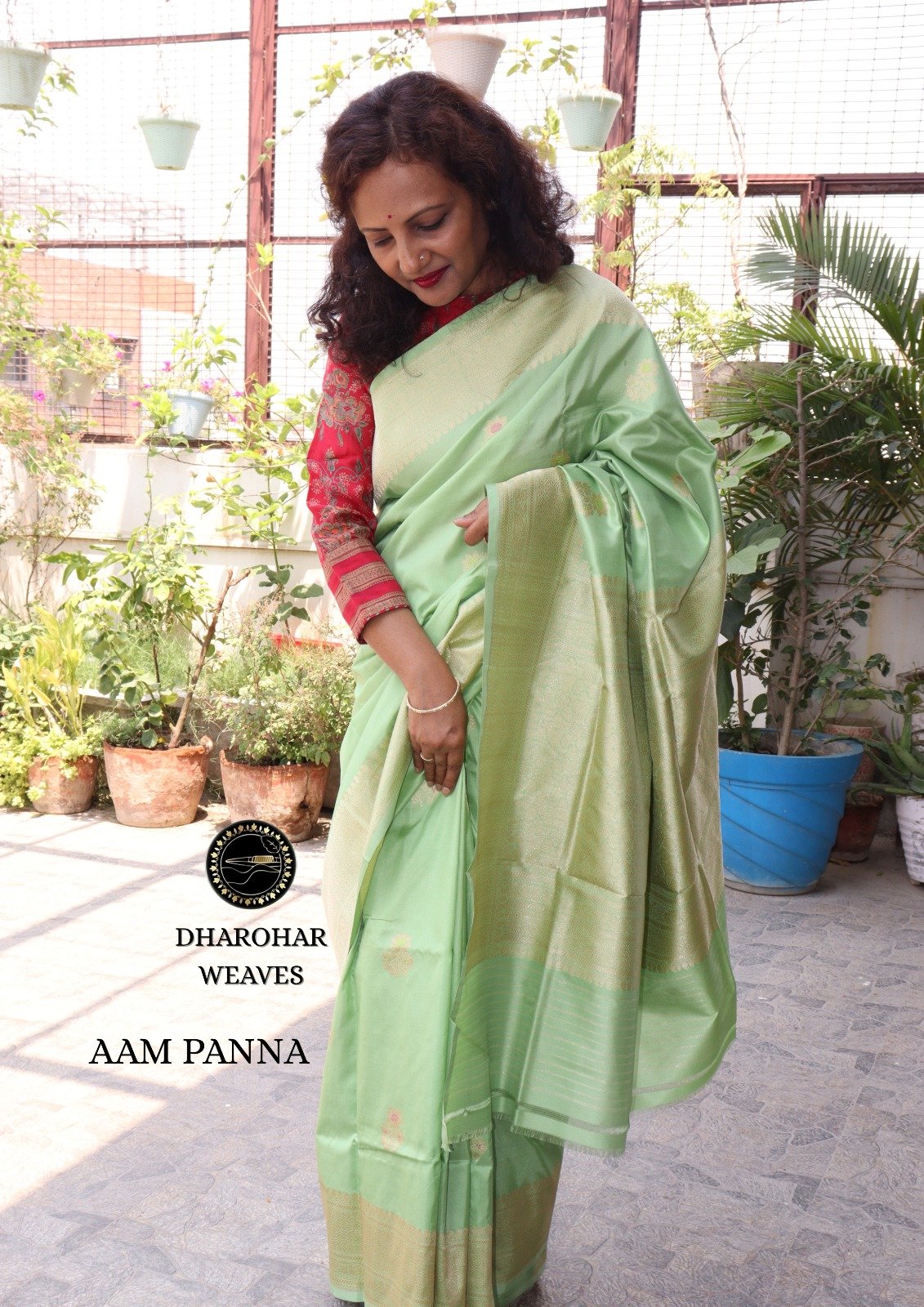 AAM PANNA view 3