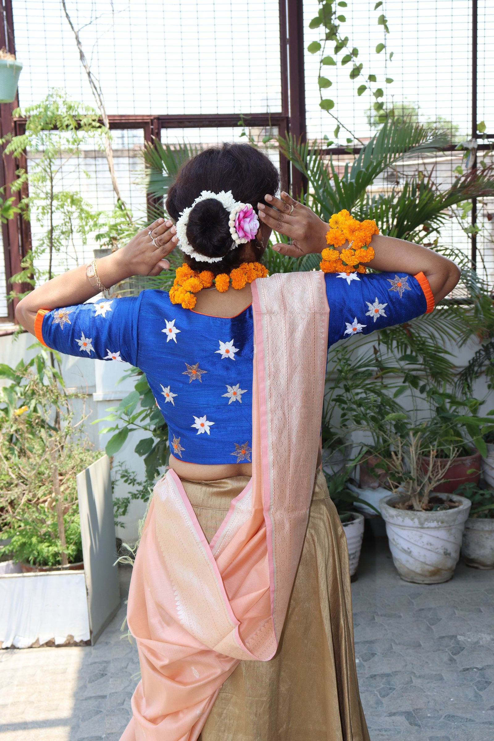 APSARA 1 view 6